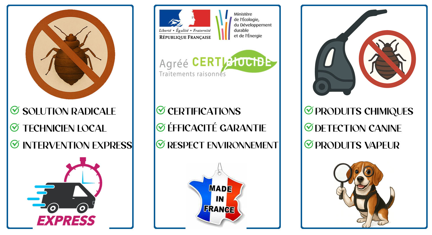 Punaises de Lit Saint Cloud